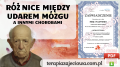 Udar, a inne chorby.png