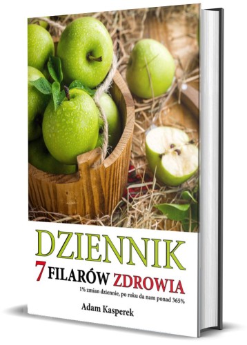 Dziennik przód.jpg